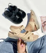 صندل طبی - Image 2